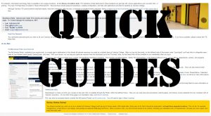Quick Guides Flash