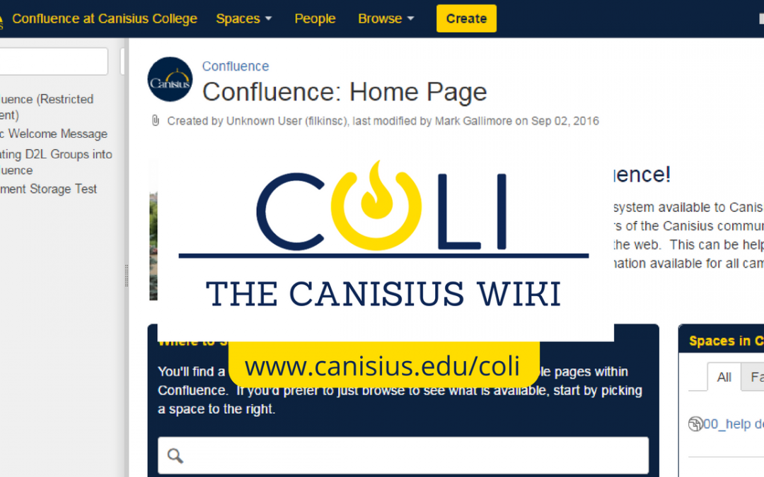 The 10 Most Useful Pages on the Canisius Wiki for You Right Now